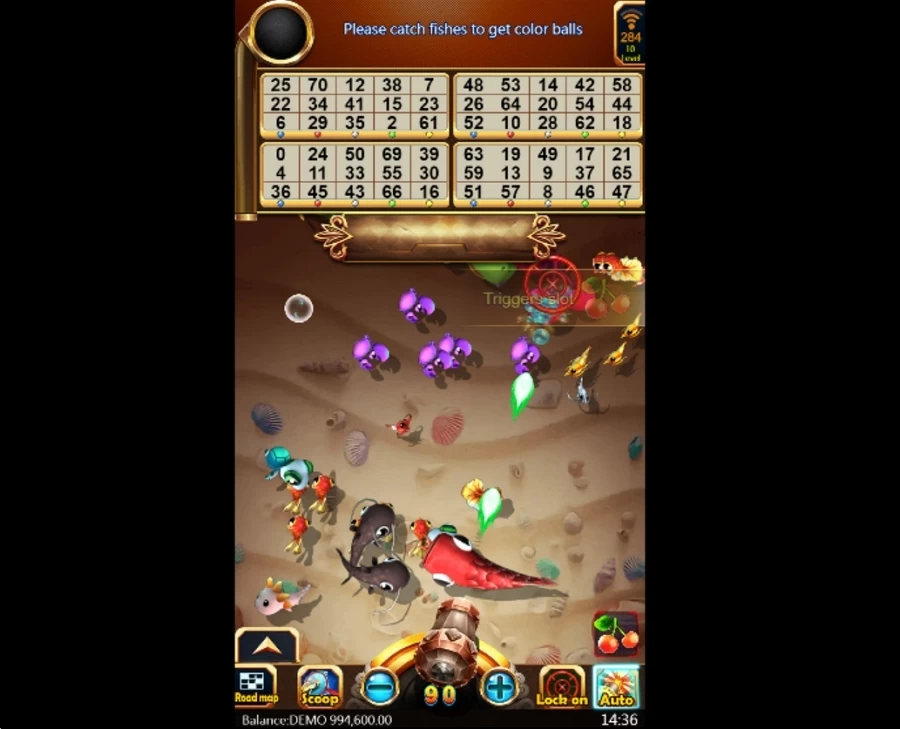 bingo-fishing-2 at vs555